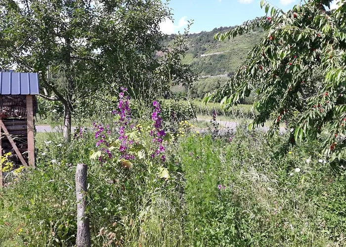 Gaestehaus Sophie Apartment